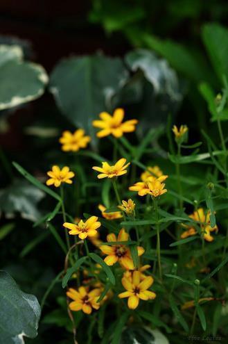 最新积极向上朋友圈文案大全精选114句