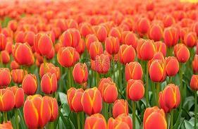 让对方很感动的符合文案(精选20句)