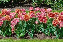 做阳光女人唯美句子