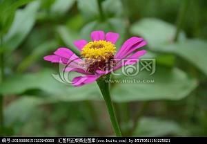 赞美火锅的经典句子 在家吃火锅发朋友圈的语句