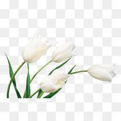 爱情正能量唯美句子