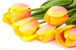 批评他人不足及建议短句汇编37句