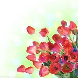 适合秋天旅游发的唯美句子 朋友圈秋天霸气的经典句子推荐35句