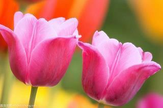 抖音流行幽默搞笑短句 2022抖音火爆句子搞笑