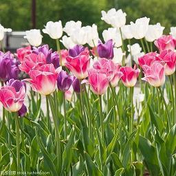 该懂事了致自己的句子