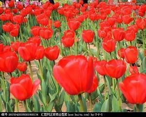 经典对老公失望的句子说说心情短语