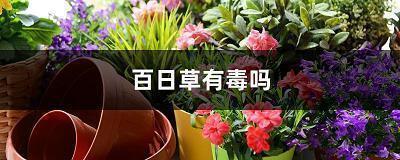晚上发朋友圈句子 晚上激励的正能量的话(精选73句)