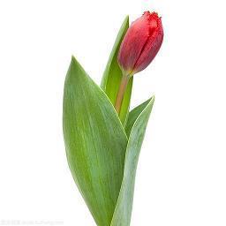 春分朋友圈唯美祝福文案
