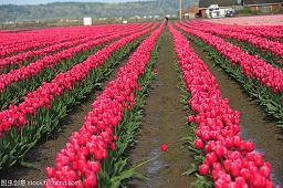 真心烦不被理解的经典句子说说心情