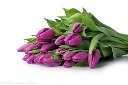 每天一句心灵鸡汤经典语录(精选29句)