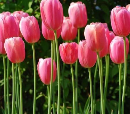 现实心酸的心情短语