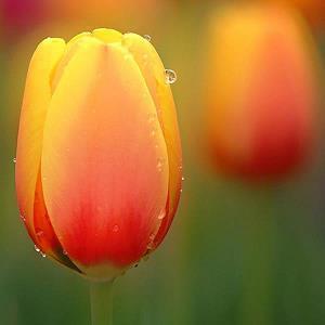 激励上进正能量句子 激励人心的句子(精选80句)