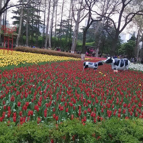 教师节送给老师的走心祝福文案(精选70句)