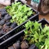 玩的开心一天的心情句子