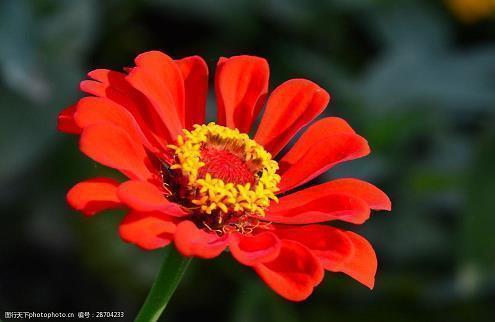 描写谷雨的民间谚语和优美句子汇编40句