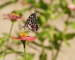 那些关于沟通的励志句子：孤独看起来是一个人独处，实则是自