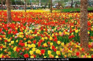 2021中秋节亲人温馨祝福句子文案(精选61句)