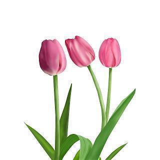 治愈神仙温柔短句八字 神仙温柔短句八字