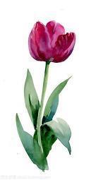 看见草原开心的句子