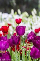 二十四节气立冬优美祝福句子(精选84句)