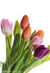 男人对男人失望的句子说说心情