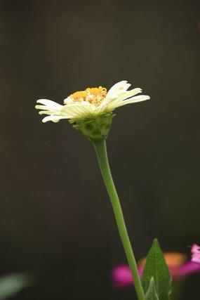 半夜睡不着特别烦的心情说说精选39句