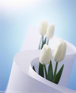 幸福的成语和句子100句