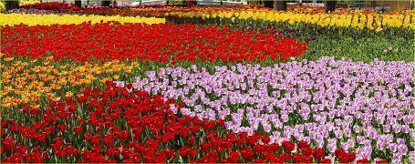 且试天下经典句子62句