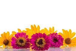 百发百中造句 百发百中的意思 百发百中的近义词