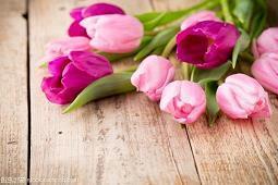 正能量睡前晚安问候语收集25句