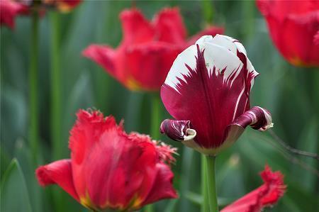 温柔很仙的宝藏句子 超级温柔的神仙句子汇编71句