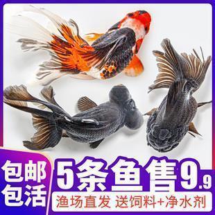 感悟人生苦短的经典句子