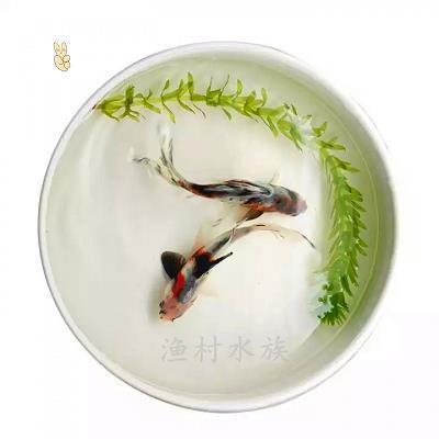 晒自己第一次做饭的文案(精选13句)