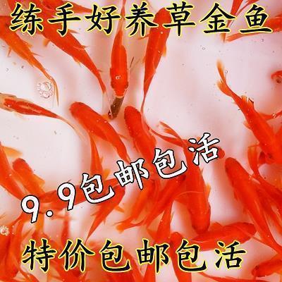 表示对家人失望的句子