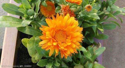 朋友圈努力上进的文案 努力奋斗的朋友圈文案