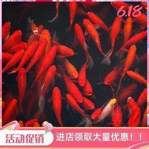 生日最暖心短句 生日卡片祝福语