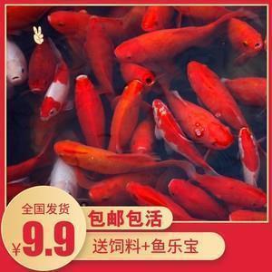 化妆品作活动宣传语