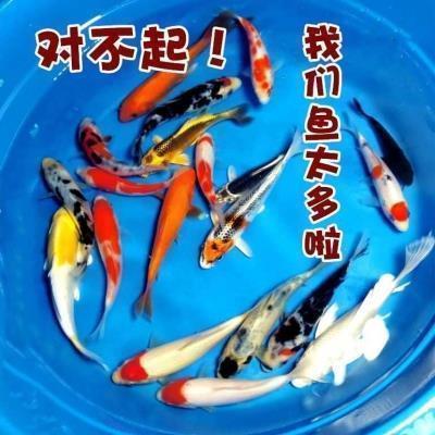 最新老公过生日文案(精选82句)