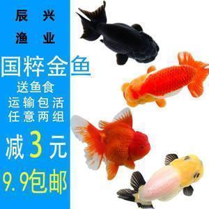 感恩教师节的英文句子