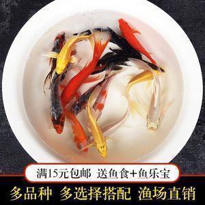 温暖开心的句子