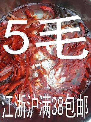 春分朋友圈文艺祝福文案