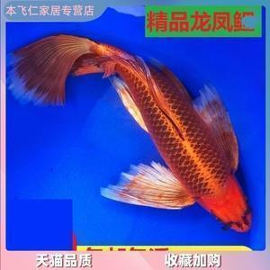 社会人情淡薄现实的语句 讽刺现实社会人情冷暖的句子