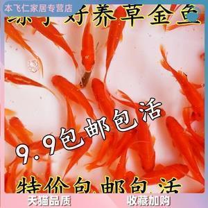 十月你好抖音文案说说(精选95句)