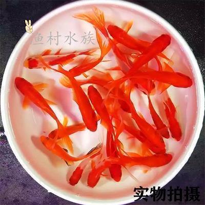一句话形容日出的句子 形容早晨日出美的句子34句