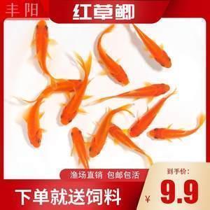 表示对丈夫失望的句子