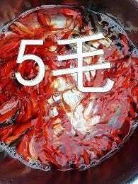 张晓风经典语录大全
