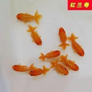 超级有趣的怼不回消息人的有趣 怼那些半天不回你消息的人文案