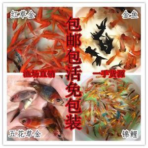 男人秒硬的撩人句子 让男生瞬间变硬的话(精选24句)