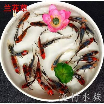 快手文案高质量短句搞笑 很搞笑发快手的文案