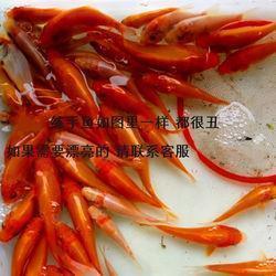 感恩节文案走心句子(精选74句)